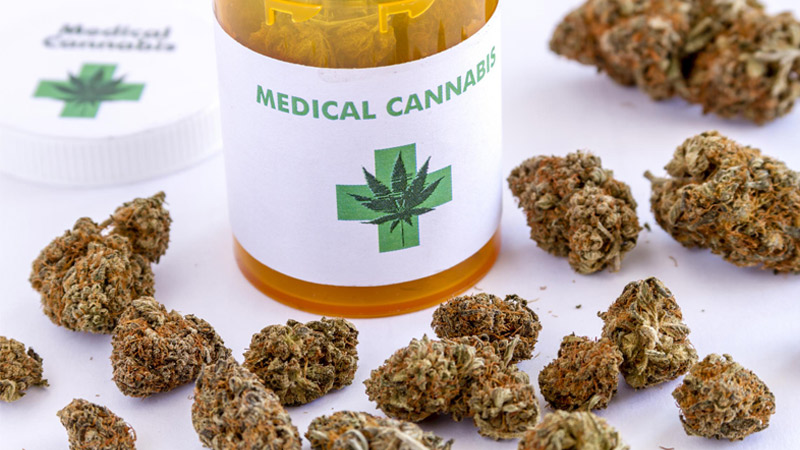 Cannabis Flos THC 1% + CBD 12% już w aptekach! Nowe możliwości dla lekarzy  i pacjentów medycznej marihuany - Marihuana.info.pl