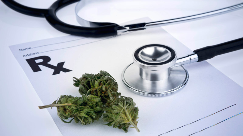 lekarz medyczna marihuana